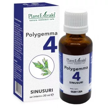 Polygemma 4 - Sinusuri, 50ml (PlantExtrakt)