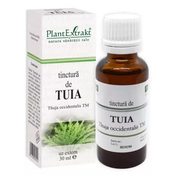 Tinctura de tuia - Thuja occidentalis (PlantExtrakt)