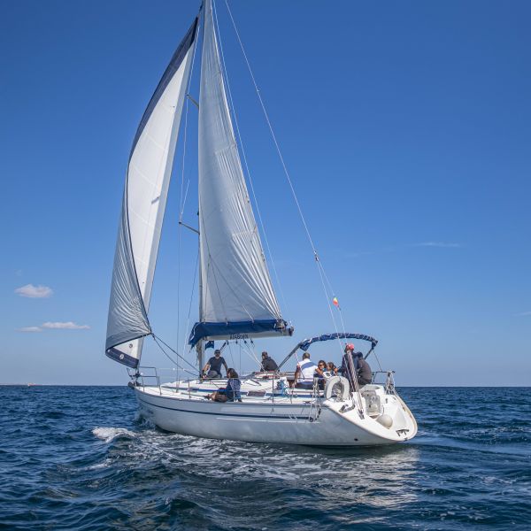 Curs de Sailing - Permis Categoria S | 2 zile, Limanu