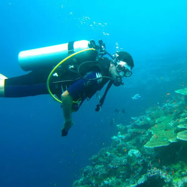 Discovery Scuba Diving, jud. Constanta