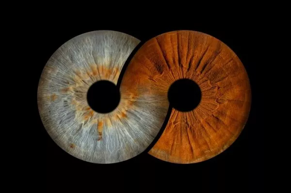Sesiune Foto IRIS |2 persoane