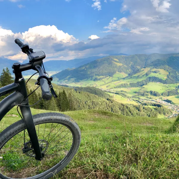 Experiențe Munte Cadou  - Tur autoghidat cu bicicleta electrica mountain bike | Pachet Friends , smartexperience.ro
