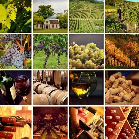 Degustari - Experiență Cadou - Wine Lover | Dealu Mare | Urlati, smartexperience.ro