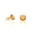 Eva Nobile earrings made of 18K yellow gold with citrine
