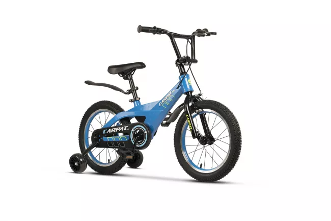 Bicicleta Copii 4-6 ani Carpat PRO C16119C 16",  Albastru/Alb 2