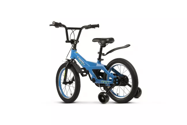 Bicicleta Copii 4-6 ani Carpat PRO C16119C 16",  Albastru/Alb 3