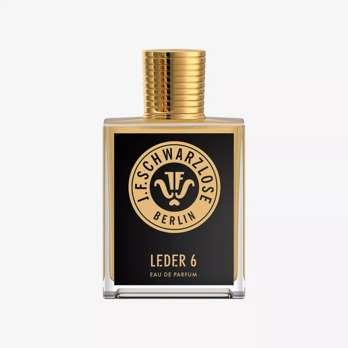 LEDER 6