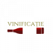 vinificaie-1513173516
