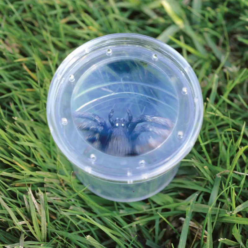 Borcan cu lupa pentru observarea insectelor, [],bestfam.ro