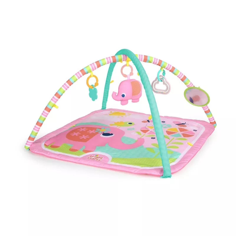 Bright Starts - Salteluta de activitati Fanciful Flowers, [],bestfam.ro