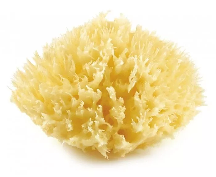 Burete natural de baie - Honeycomb - Thermobaby, [],bestfam.ro