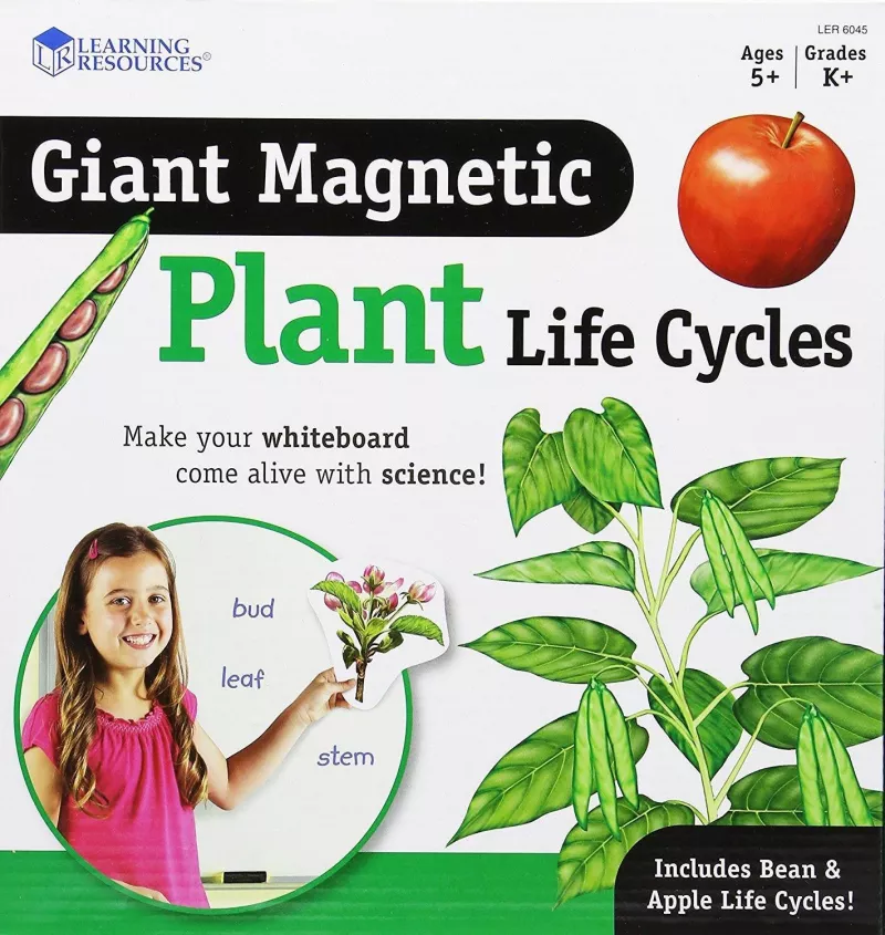 Ciclul vietii plantei - set magnetic, [],bestfam.ro