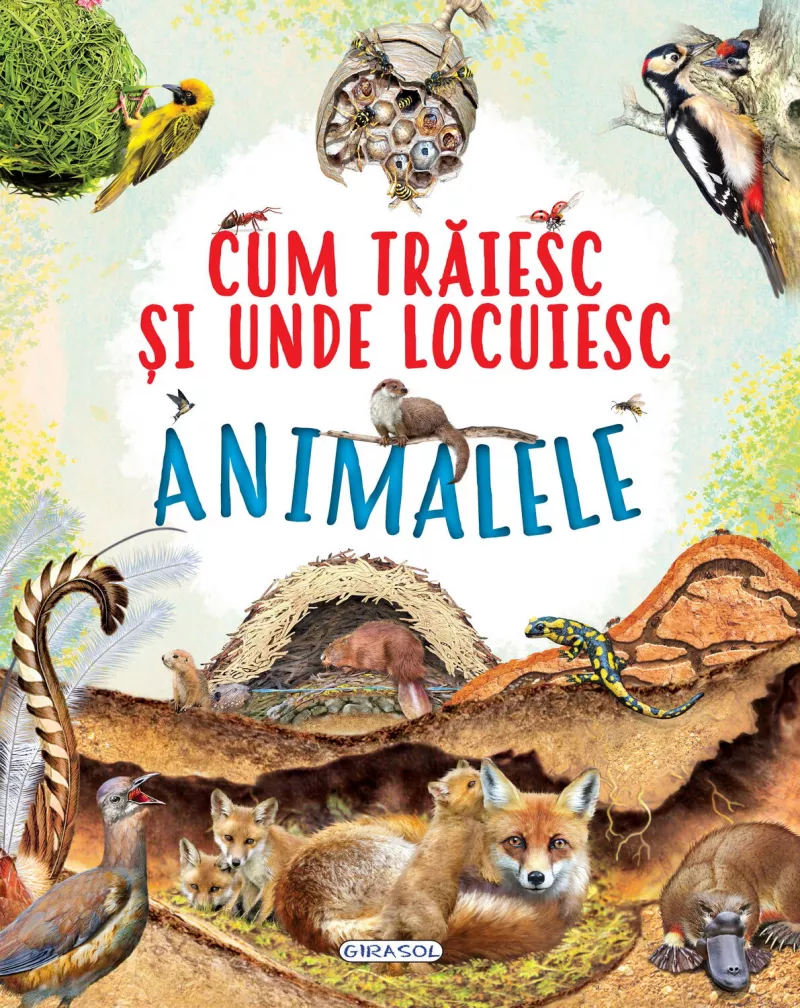 Cum traiesc si unde locuiesc animalele, [],bestfam.ro