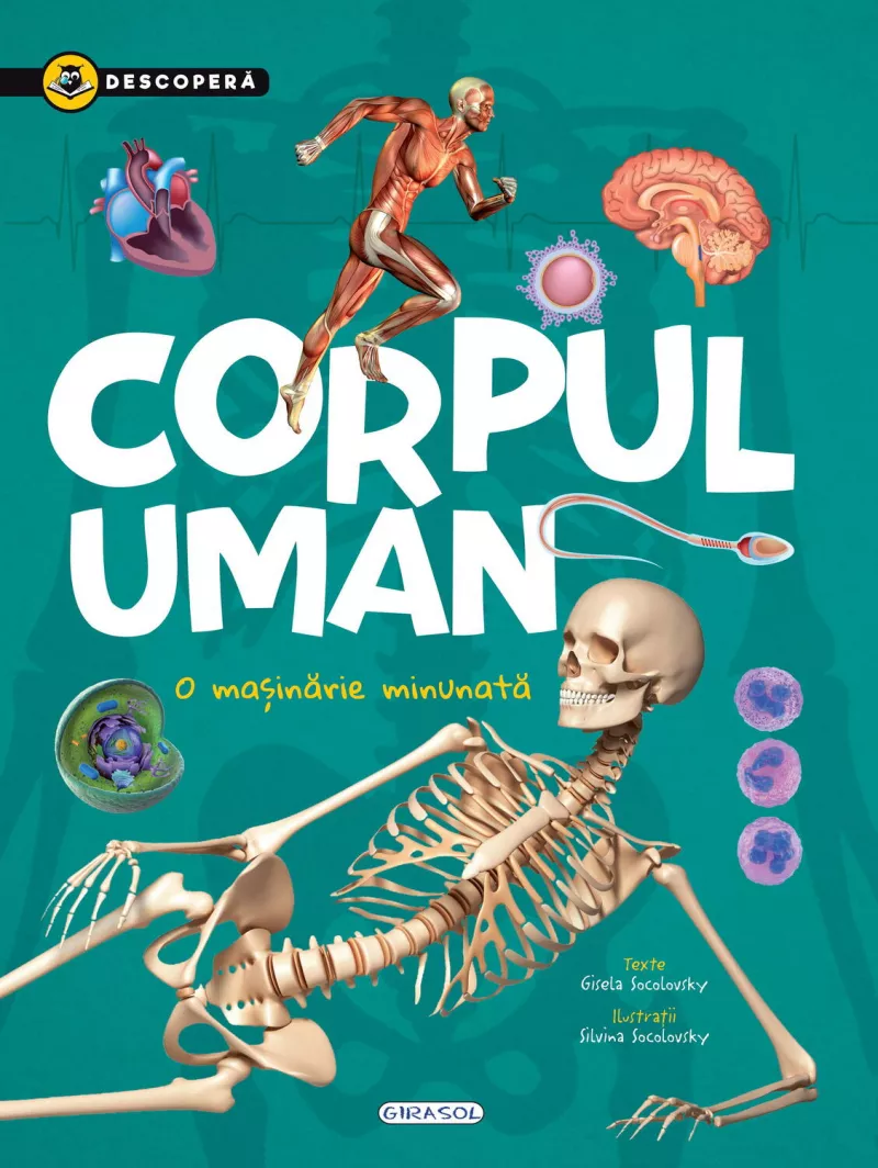 Descopera - Corpul uman, [],bestfam.ro