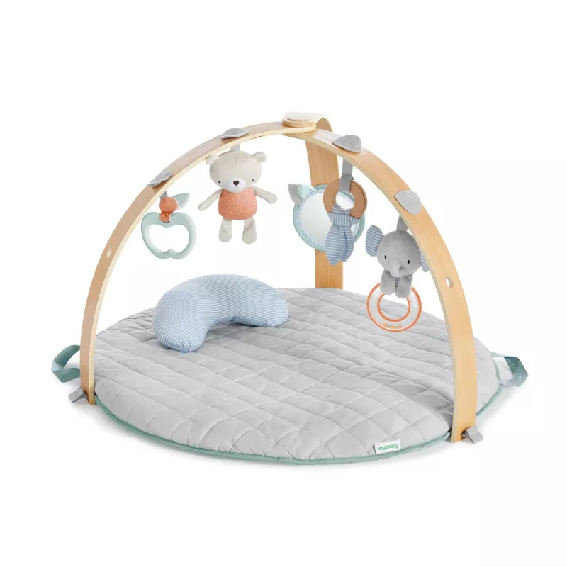 Ingenuity - Salteluta de activitati cu doua fete Cozy Spot, [],bestfam.ro