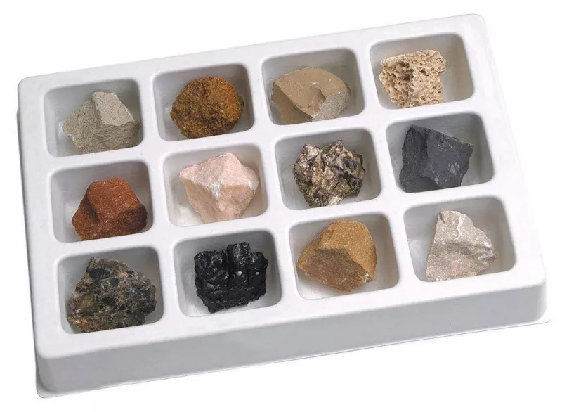 Kit paleontologie - Roci sedimentare, [],bestfam.ro