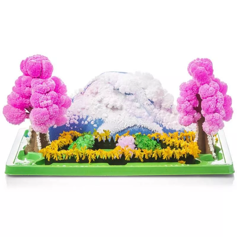 Set experimente - Gradina magica, [],bestfam.ro