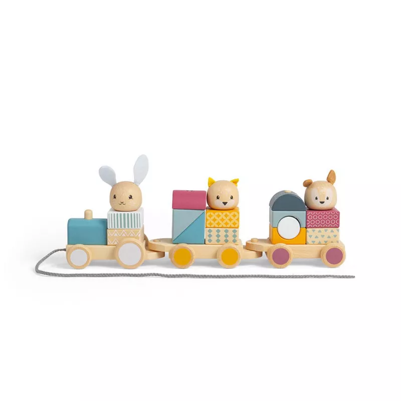 Trenulet cu forme - Animalute vesele, [],bestfam.ro