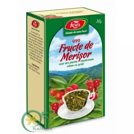 CEAI MERISOR X 20 PLICURI, [],axafarm.ro