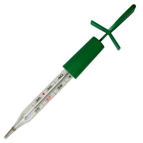 DIGIBEX TERMOMETRU DB-01 CLASIC FARA MERCUR, [],axafarm.ro