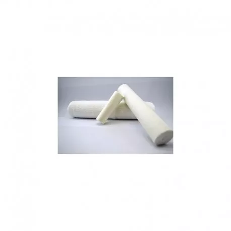 FESI 10/10   PANSIPROD, [],axafarm.ro