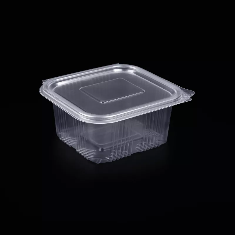 CASEROLA PP 500 GR 100 SET, [],deterlife.ro
