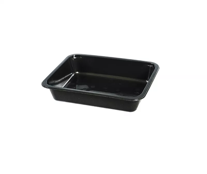 CASEROLA TERMO 187X137XH50 CM 1 COMPARTIMENTE 180  BUC SET, [],deterlife.ro