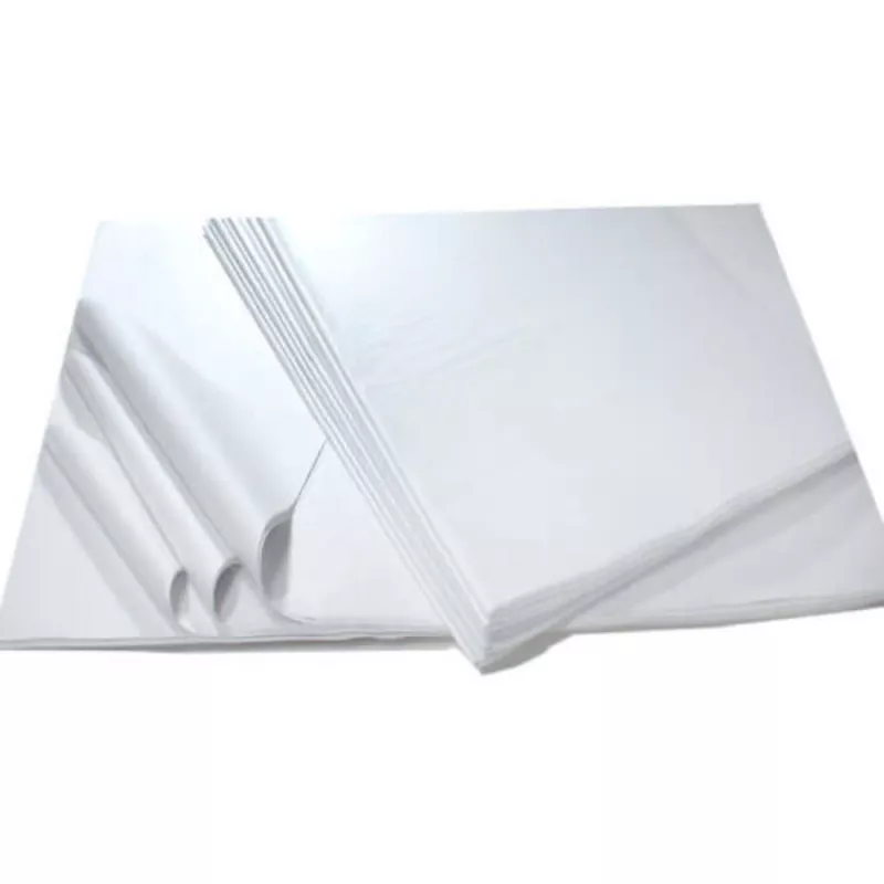 HARTIE ALBITA 70X100 55 GR, [],deterlife.ro