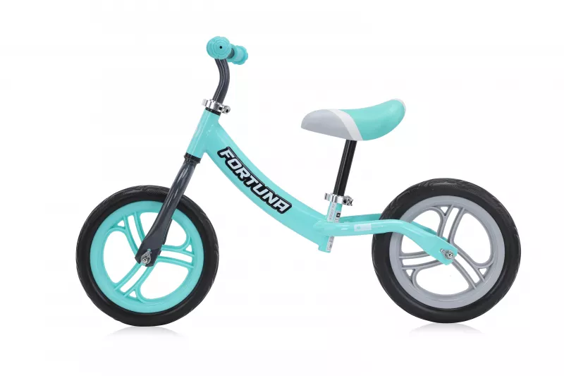 Bicicleta de echilibru, Fortuna, 2-5 Ani, Grey & Green 2