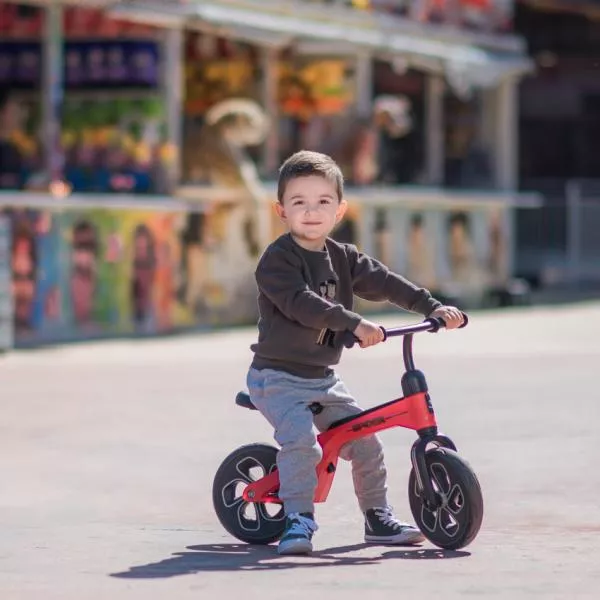 Bicicleta de tranzitie pentru copii, Spider, fara pedale, roti mari, Mint 5