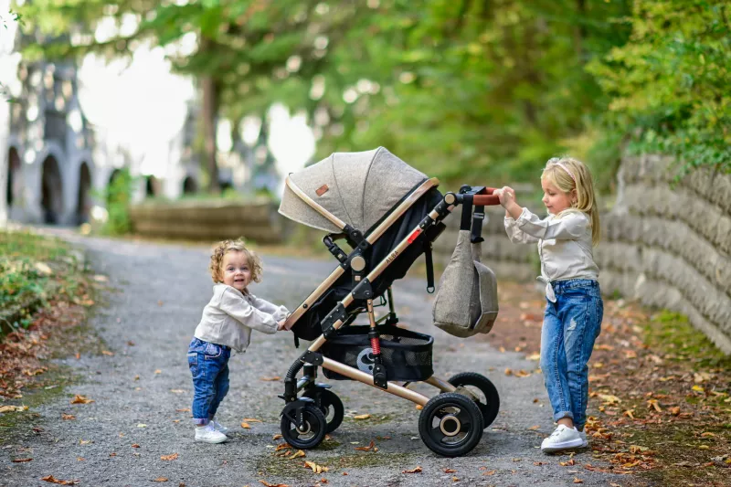 Carucior Alba Premium, landou transformabil, adaptori scoica, de la 0 luni pana la 3 ani, maxim 15 kg, Pink 11