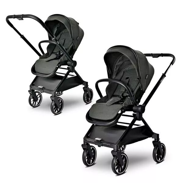 Carucior Set 2 in 1, Reya, cos individual cu maner de transport, maner si sezut reversibile, pana la 22 kg, Green 4