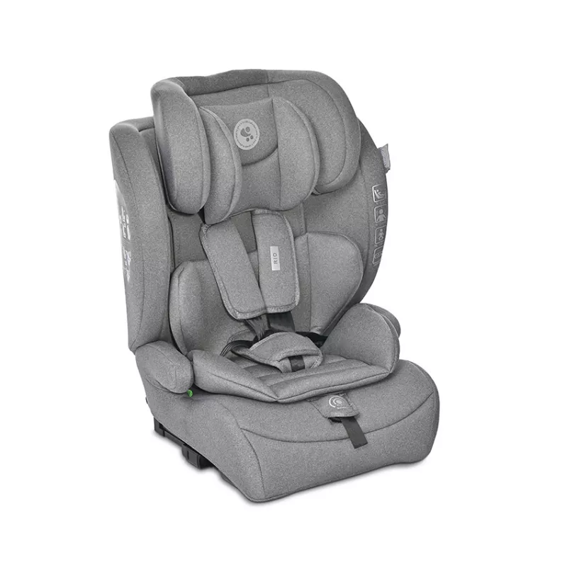 Scaun auto pentru copii Rio, i-Size, Isofix, 76-150 cm, 15 Luni-12 Ani, Grey 1