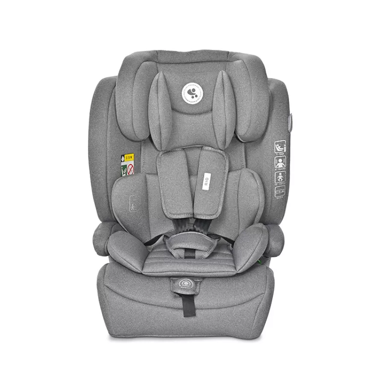 Scaun auto pentru copii Rio, i-Size, Isofix, 76-150 cm, 15 Luni-12 Ani, Grey 2