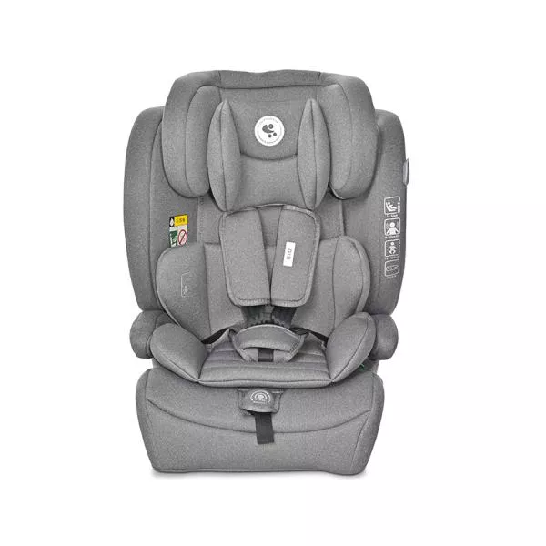 Scaun auto pentru copii Rio, i-Size, Isofix, 76-150 cm, 15 Luni-12 Ani, Grey 2