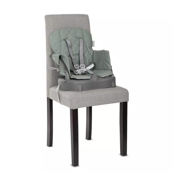Scaun de masa pentru copii 3 in 1, Siesta, Green Leather 7