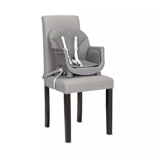 Scaun inalt de masa, Vanilla, 3 in 1, de la 6 luni pana la 6 ani (26kg), Grey 7