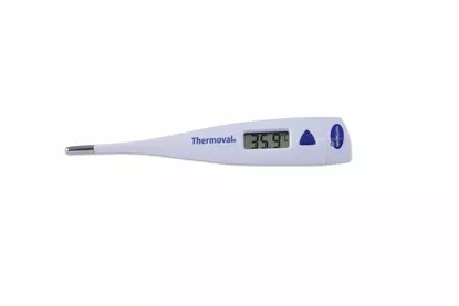 Paul Hartmann termometru Thermoval standard, [],medik-on.ro