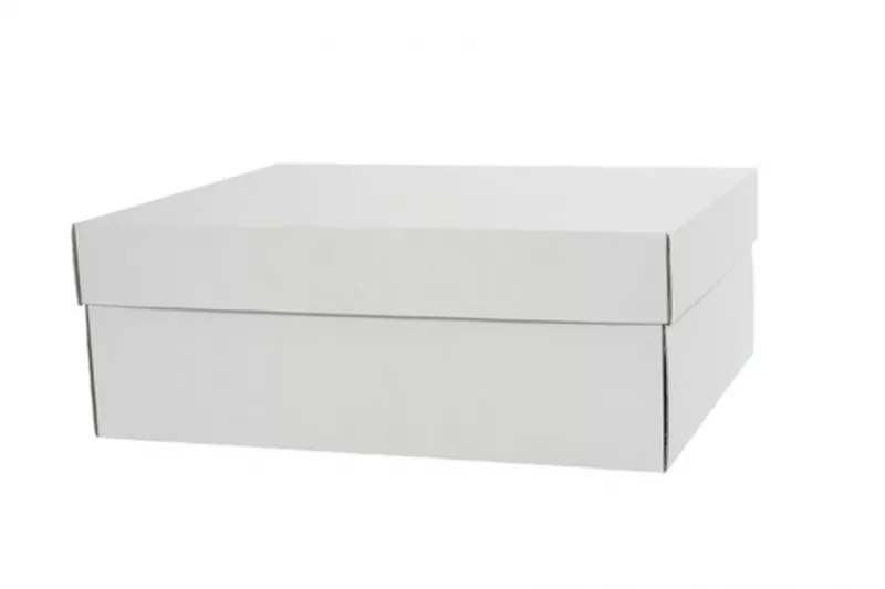 Cutii pentru tort si prajituri - Cutie Tort 55x45x16cm 25buc/set, profipacking.ro