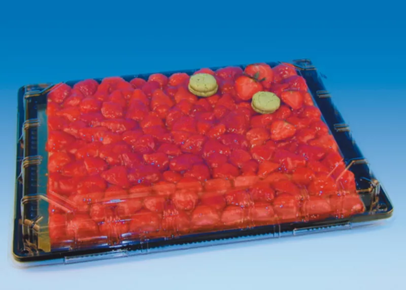 Platouri prajituri si torturi - Platou prajituri cu capac 28x21x8cm 10buc/set, profipacking.ro