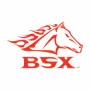 BSX