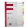Index carton Ian-Dec EVOffice