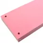 Separatoare carton color cu 2 perforatii,160 gr/mp, 10*24 cm 100 bucati/set EVOffice, roz