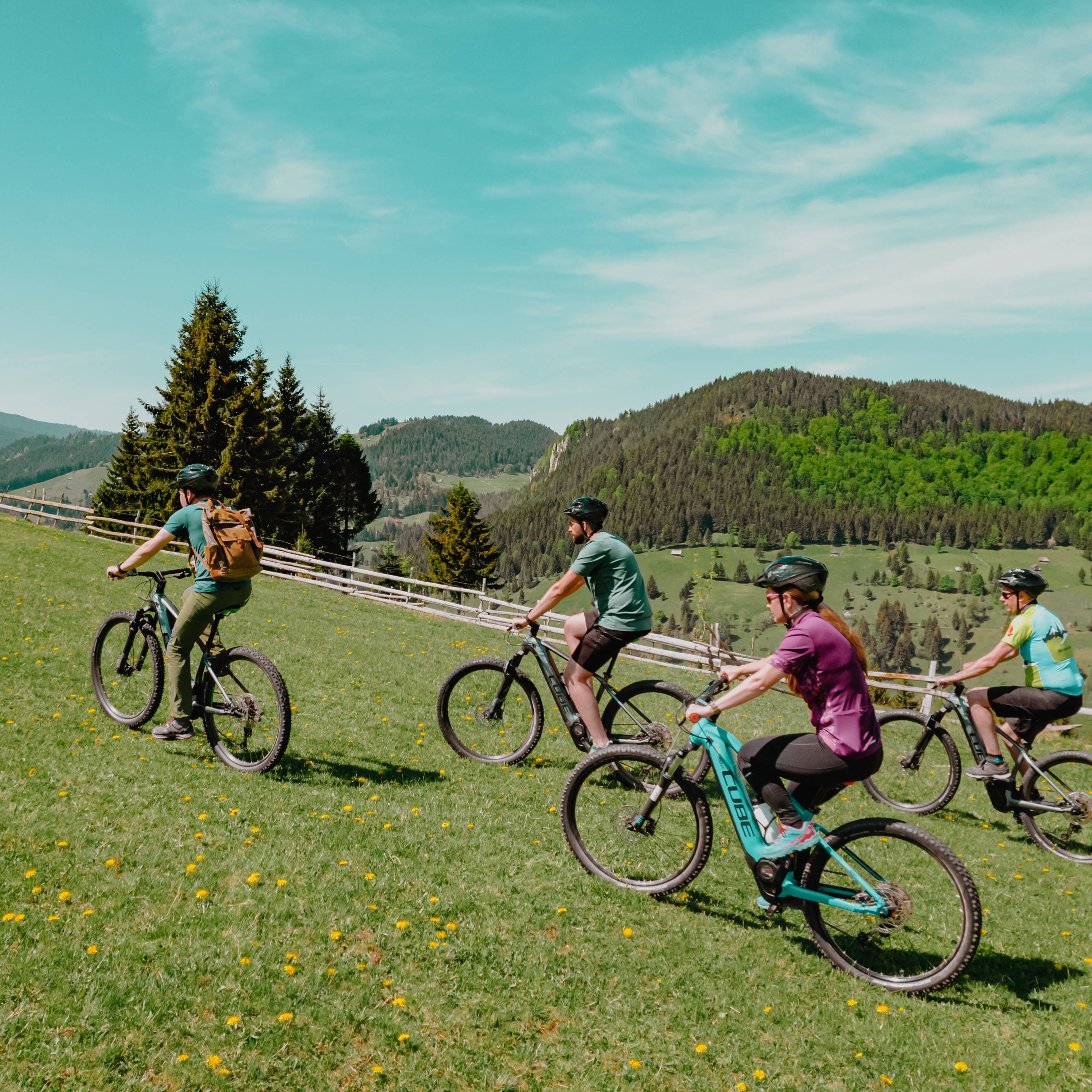 Experiențe Munte Cadou  - Tur autoghidat cu bicicleta electrica mountain bike | Pachet Friends , smartexperience.ro