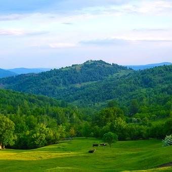 Zbor cu Avionul Cadou - Zbor introductiv cu avionul lacul Reci, lacul Moacsa-Padureni si orasul Sf. Gheorghe|3 Persoane, smartexperience.ro