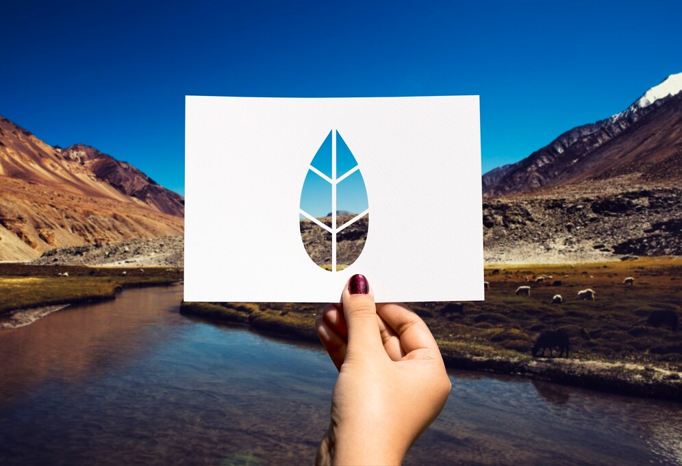 Contribuie la un viitor sustenabil prin certificarea FSC