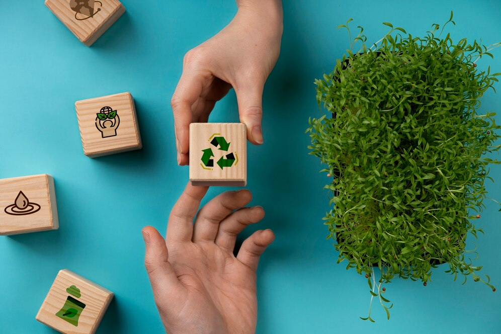 Importanța și beneficiile certificarii FSC?