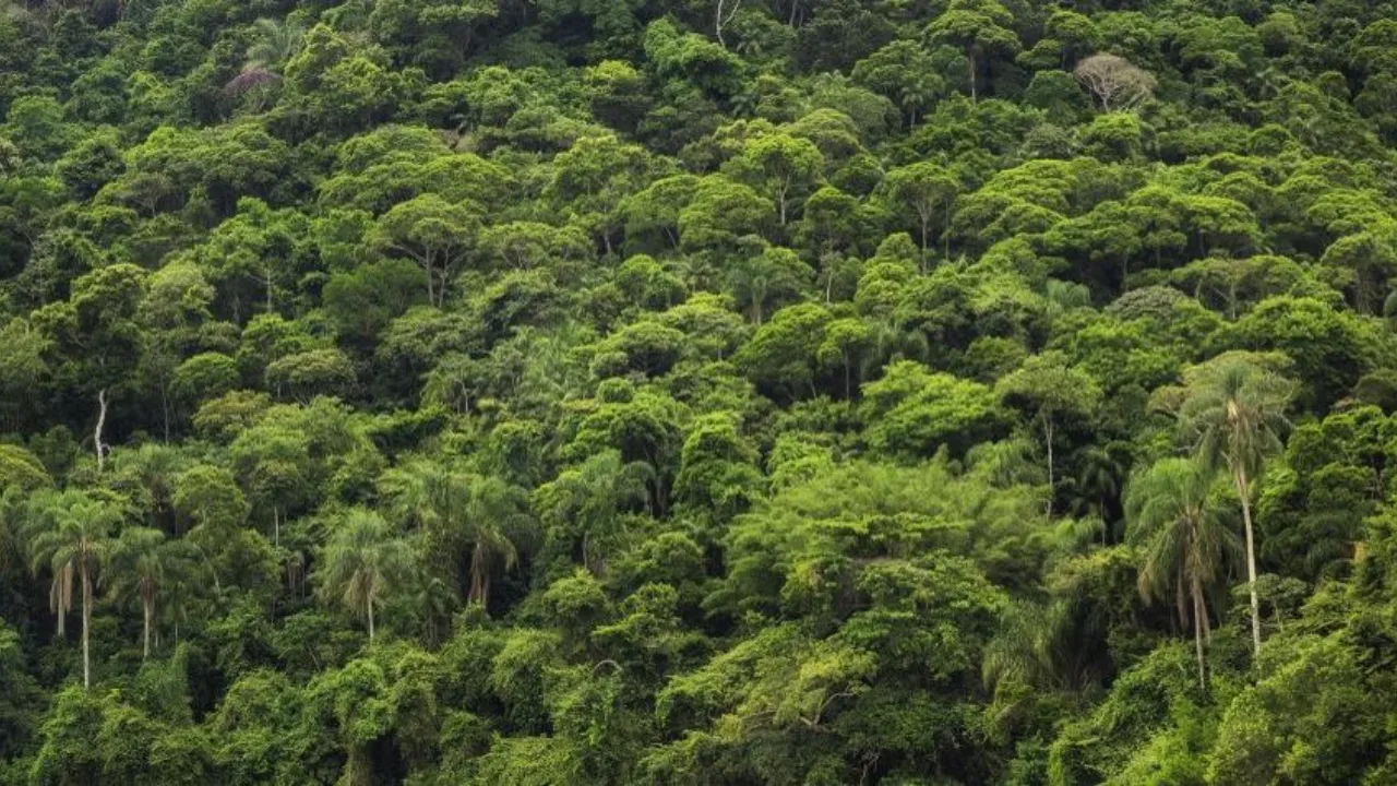 De ce e momentul pentru un „reality check”