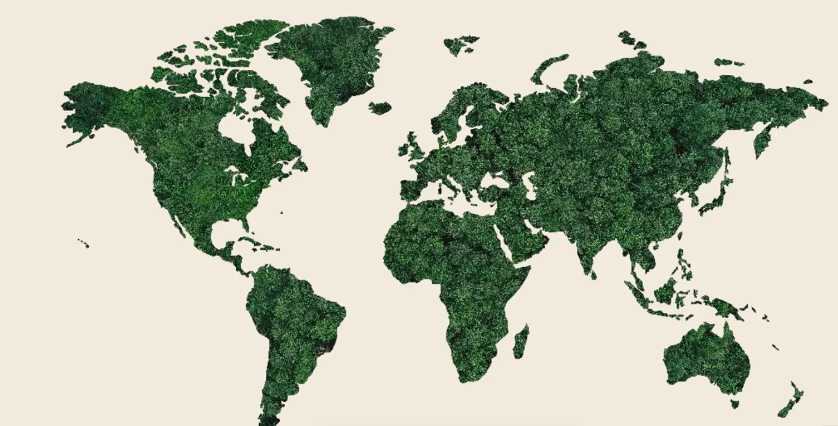 Concluzie: nu e un cost, e o alegere care îți aduce valoare