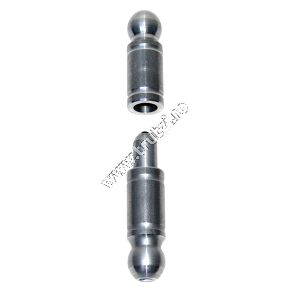 Balamale ornamentale 60426 BALAMA SUDABILA ORNAMENTALA CU BI